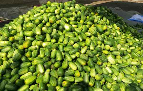 25-Tarash-Khira-abad-Pic